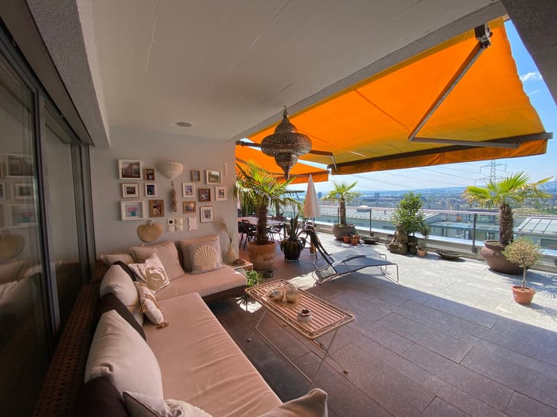Terrace with sofa, cushions, awning, table, lamp, potted plants, view of city