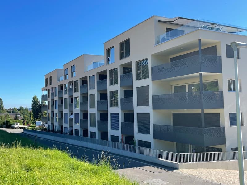 Modern apartment building, multiple floors, balconies, glass railings, white exterior, green grass, street view