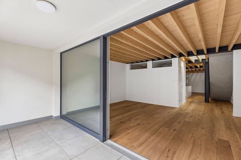 Haus im Loft-Stil in der Nähe des Hallwilersees (5)