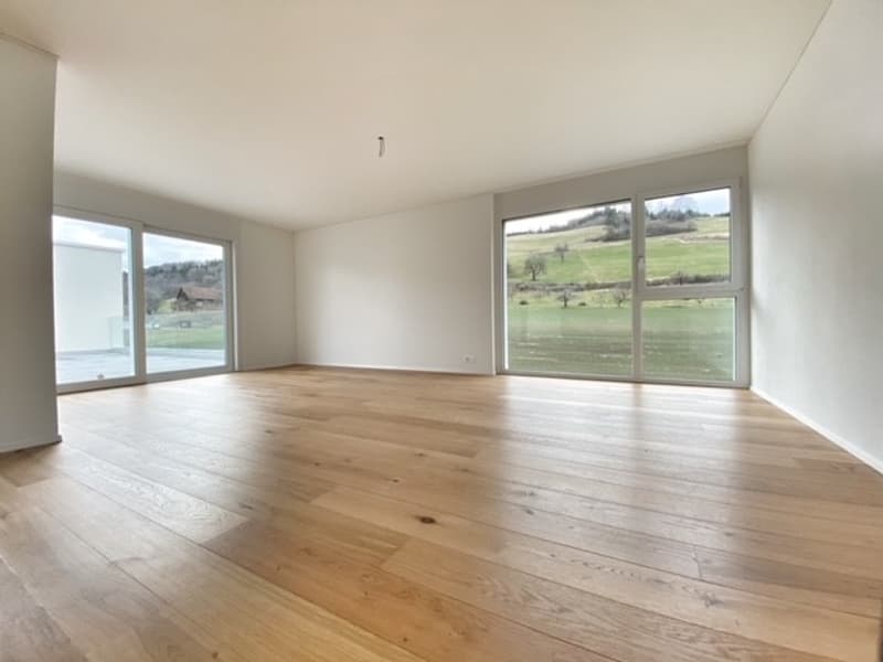 Moderne 3.5-Zimmer-Attikawohnung (2)