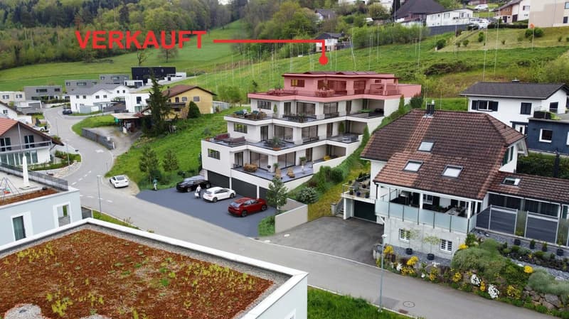 Exquisite 4.5 Zimmer Terrassenwohnungen (1)