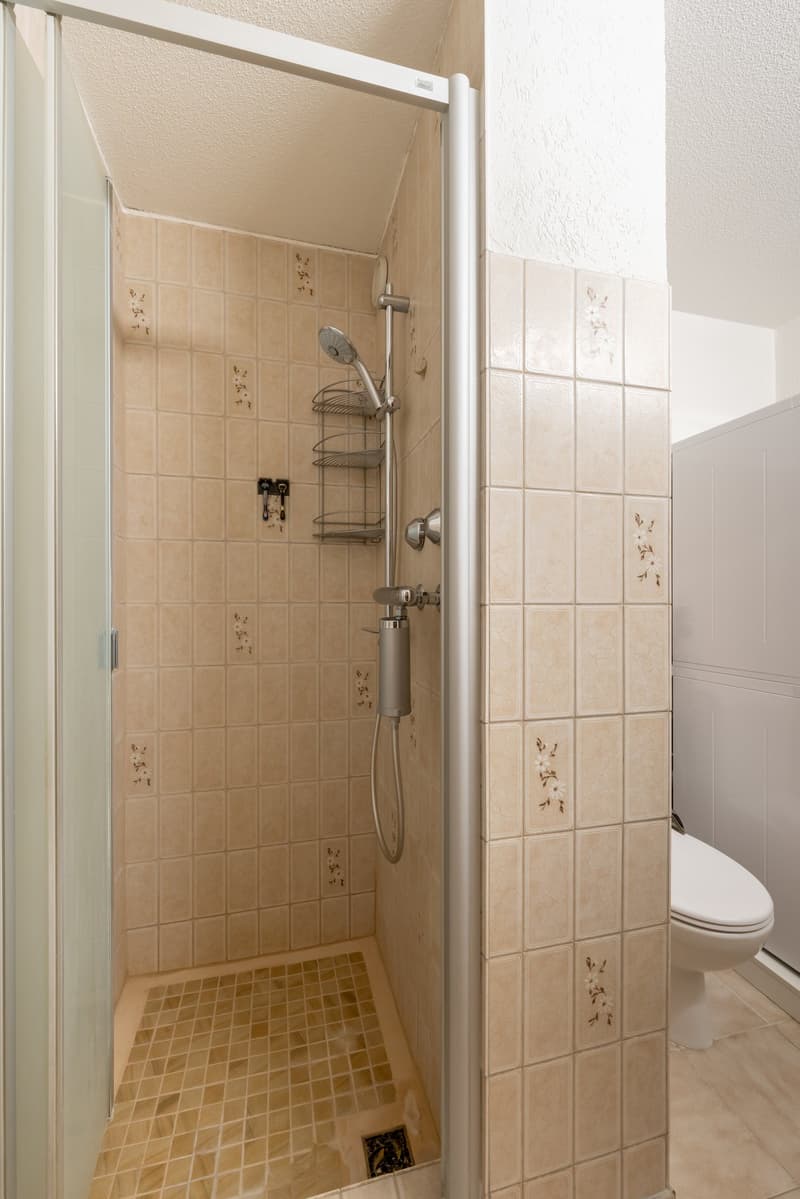 Shower area, tiled walls, tiled floor, showerhead, white toilet, shelves