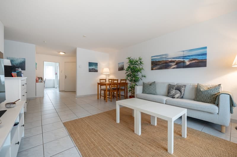 gray sofa, 2 white tables, dining table and chairs, large rug, wooden floor, white walls, TV, plant, pictures on wall