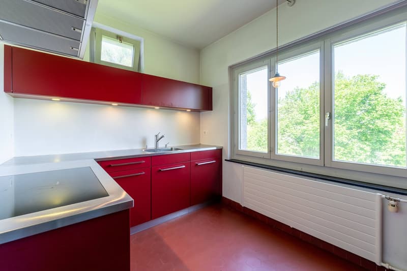Ikonisches Einfamilienhaus an exklusiver Lage in Aarau (11)
