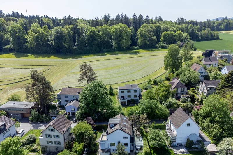 Ikonisches Einfamilienhaus an exklusiver Lage in Aarau (5)