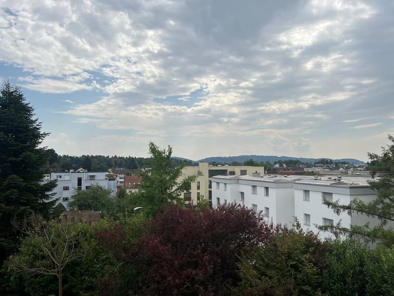 Charmante 3.5-Zimmer-Wohnung mit Balkon und schöner Aussicht in Baden (2)