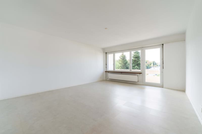 Charmante 3.5-Zimmer-Wohnung mit Balkon und schöner Aussicht in Baden (11)