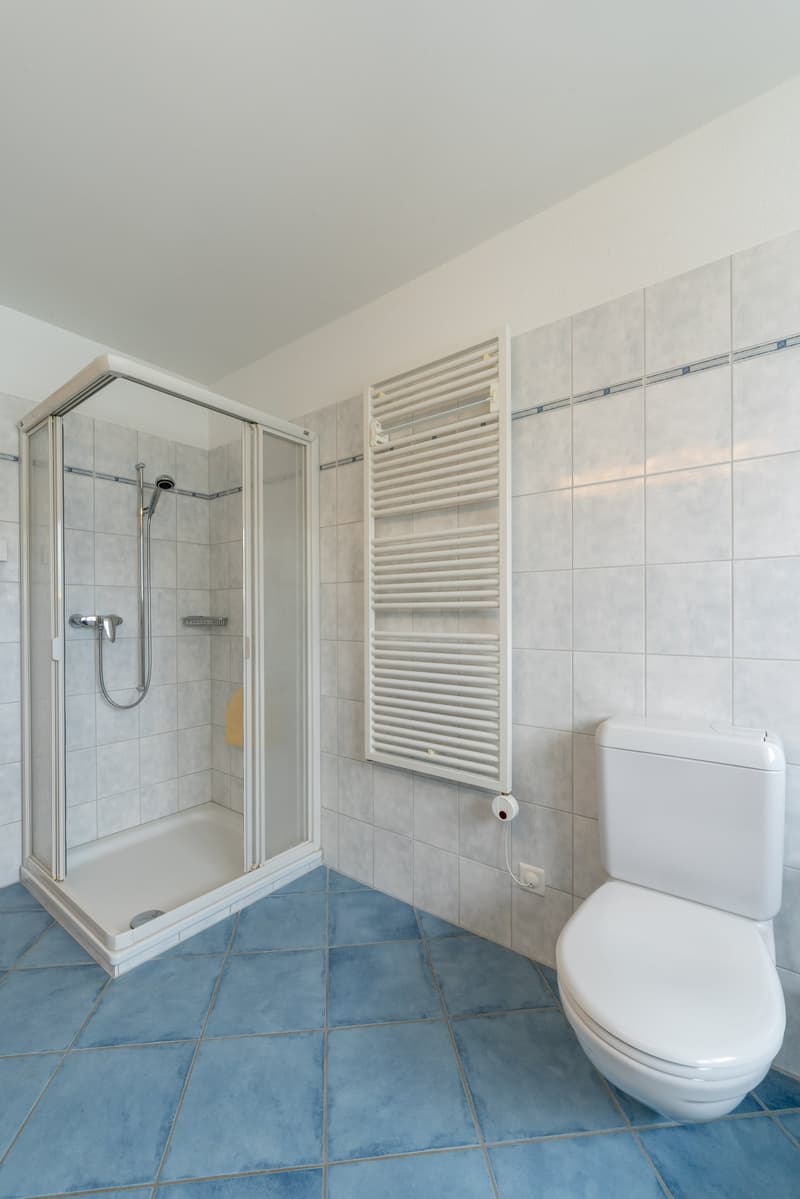 Charmante 3.5-Zimmer-Attikawohnung im 4. OG in Suhr (12)