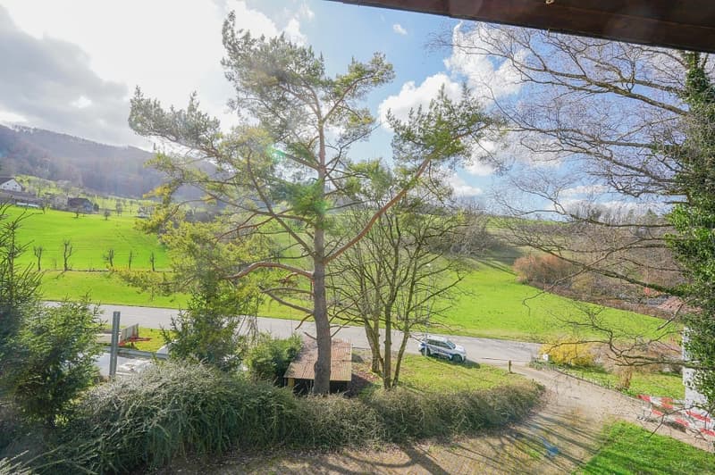 Leben auf dem Lande - Freistehendes 6.5 Zimmer-EFH (10)