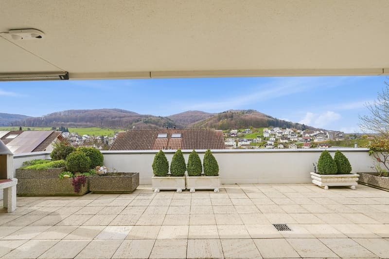 Grosszügige 5.5 Zimmer-Attikawohnung an sonniger, zentraler Lage (7)