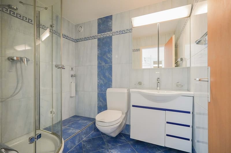 Hell, freundlich und ideal zentral: 3.5 Zimmer-Wohnung nahe Einkauf und Naherholung (5)