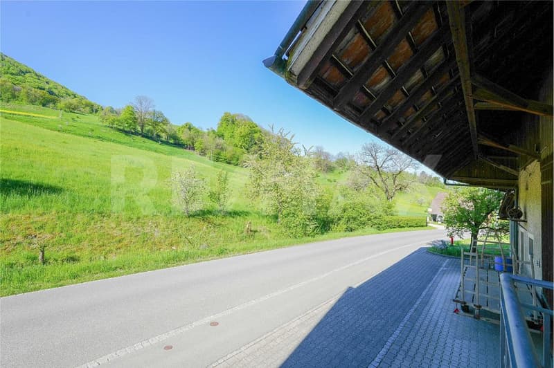 Grosszügiges, bewohnbares Bauernhaus mit separater Baulandreserve (11)