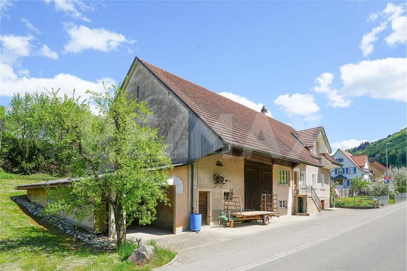 Grosszügiges, bewohnbares Bauernhaus mit separater Baulandreserve (10)