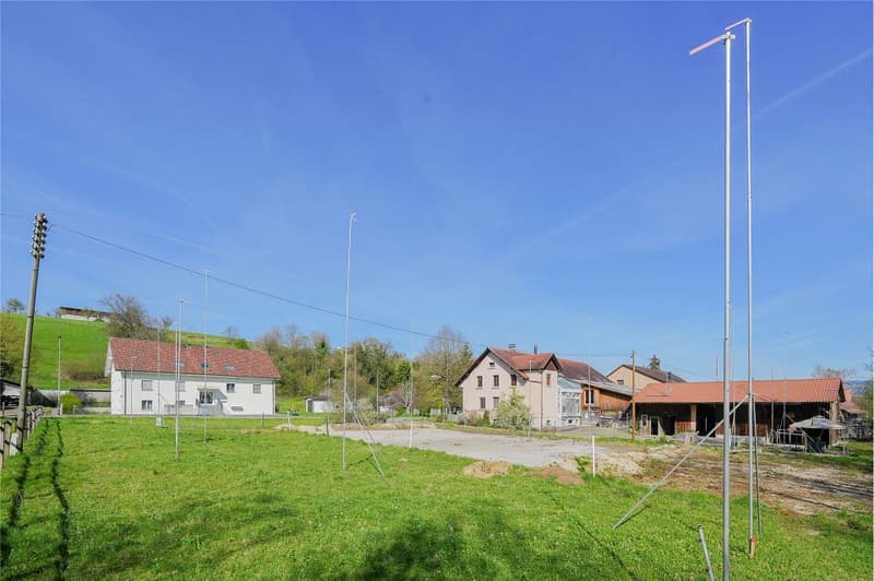 Modernes Wohnen in grüner Umgebung (4)