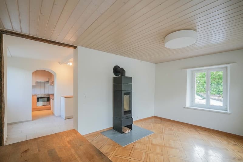 "Hüsli zmitzt im Dorf" - 3 Zimmer und alles was man braucht (2)