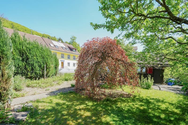 Raumwunder mitten im idyllischen Dorfkern mit grosser Gartenparzelle (optional) (7)