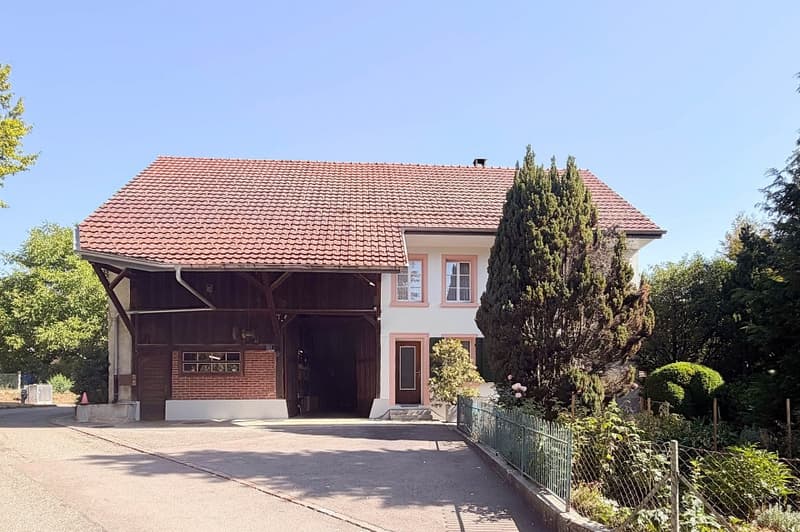 Gepflegtes Bauernhaus aus alten Zeiten (1)
