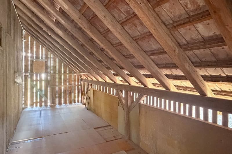 Gepflegtes Bauernhaus aus alten Zeiten (12)