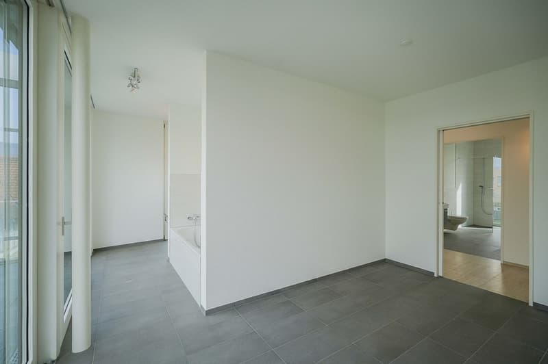 Wohngenuss der Extraklasse! Exklusive 4.5 Zimmer-Attikawohnung mit direktem Lift in Wohnung (7)