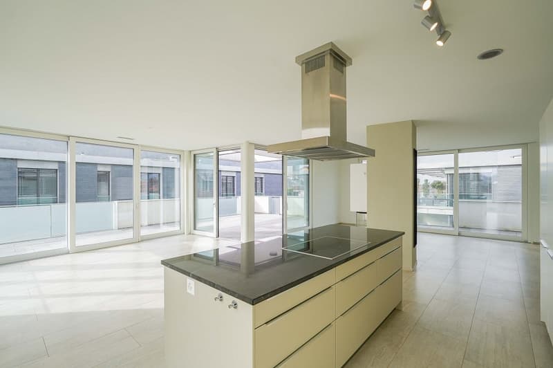Wohngenuss der Extraklasse! Exklusive 4.5 Zimmer-Attikawohnung mit direktem Lift in Wohnung (5)
