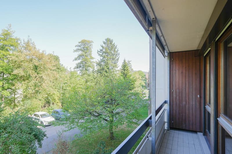 Im Herzen von Frick! (11)