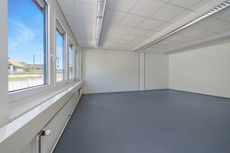 Bild6.jpg