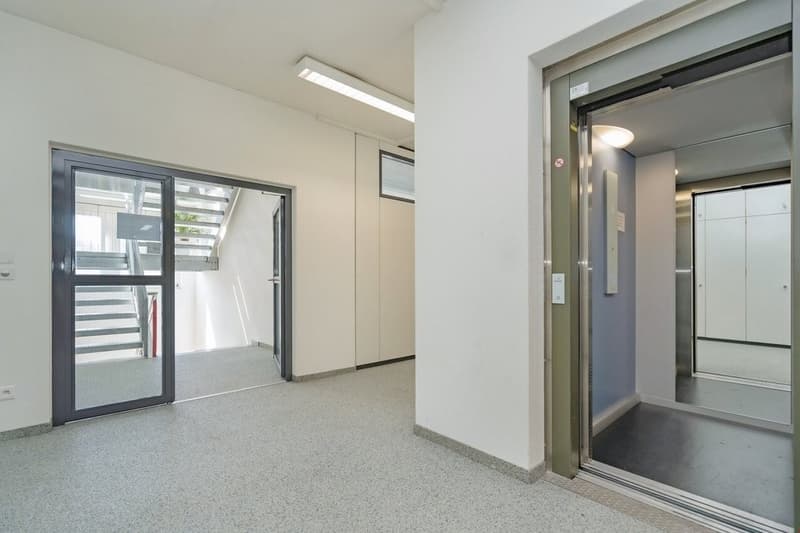 Bild4.jpg