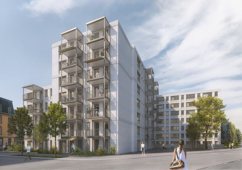 Einzigartige 3.5-Zimmer-Townhouse-Wohnungen im AVES - Das Nest für Stadtvögel (8)