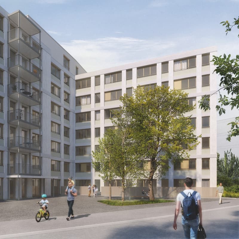 Einzigartige 3.5-Zimmer-Townhouse-Wohnungen im AVES - Das Nest für Stadtvögel (9)