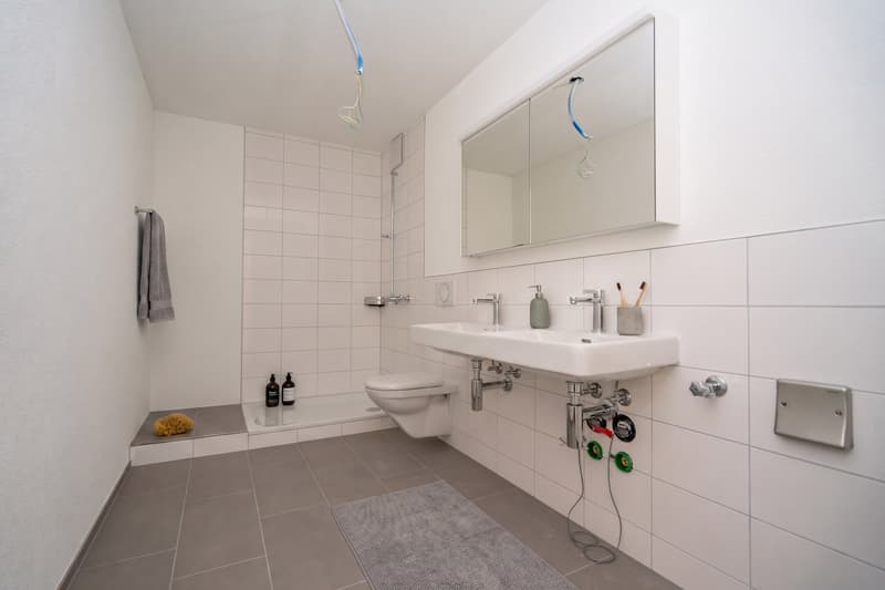 Einzigartige 3.5-Zimmer-Townhouse-Wohnungen im AVES - Das Nest für Stadtvögel (7)