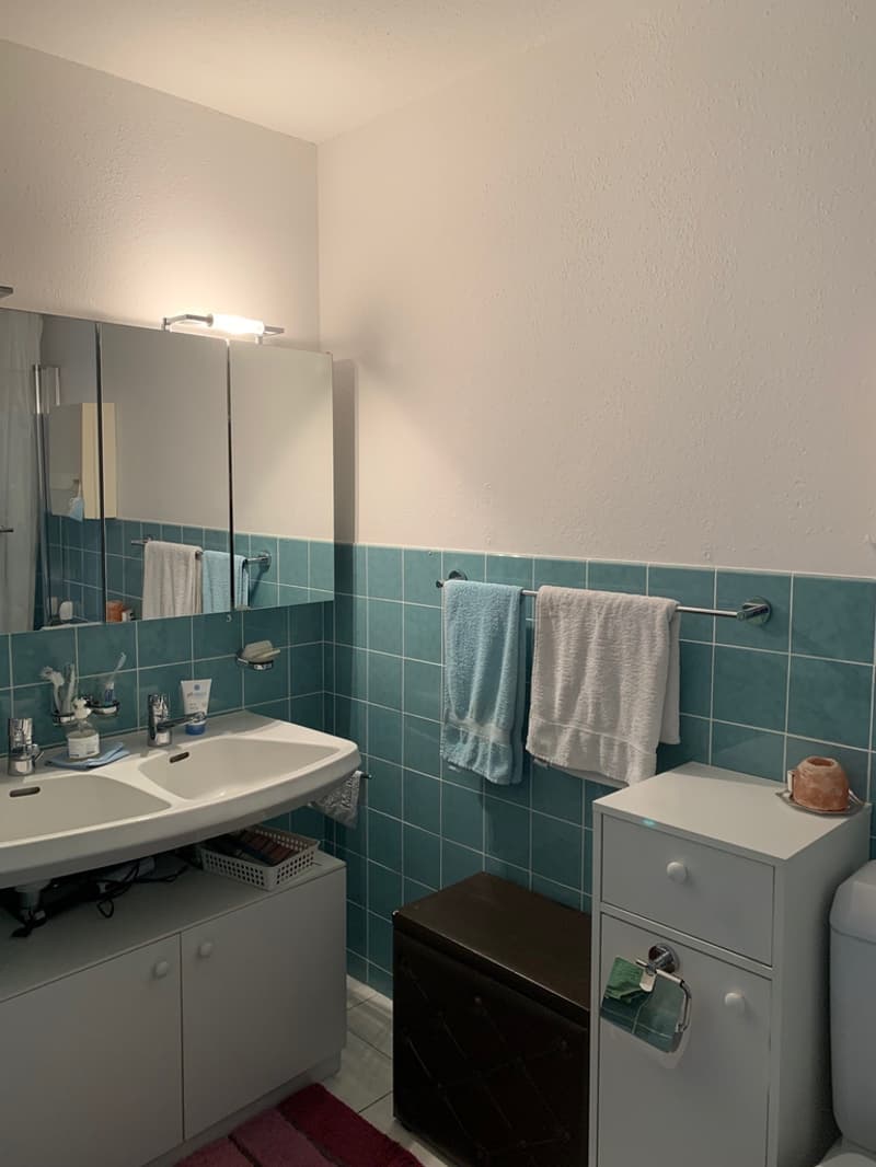 Helle 4.5-Zimmerwohnung im beliebten Zürich-Wollishofen (8)