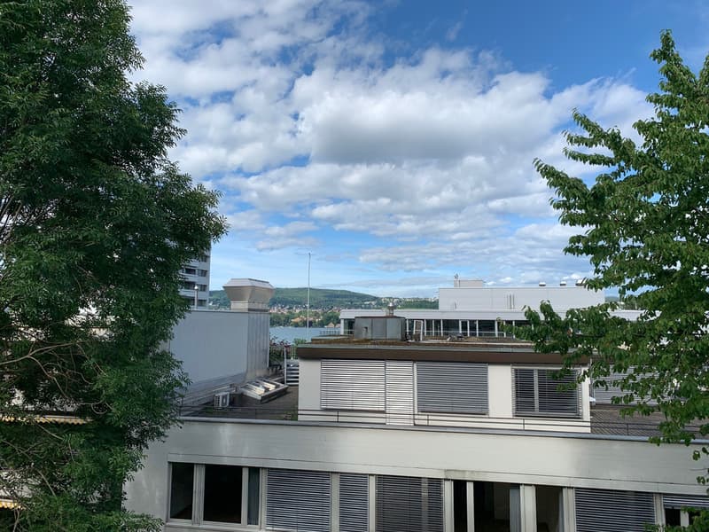 Helle 4.5-Zimmerwohnung im beliebten Zürich-Wollishofen (2)