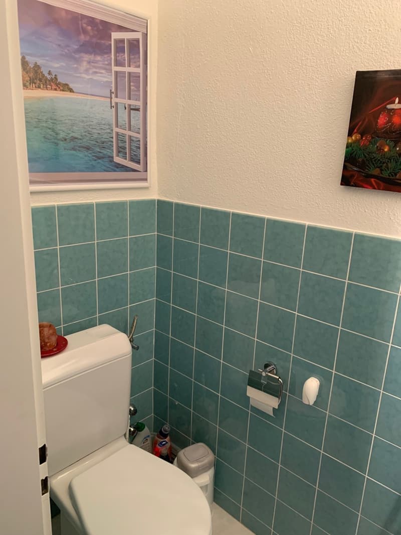 Helle 4.5-Zimmerwohnung im beliebten Zürich-Wollishofen (9)