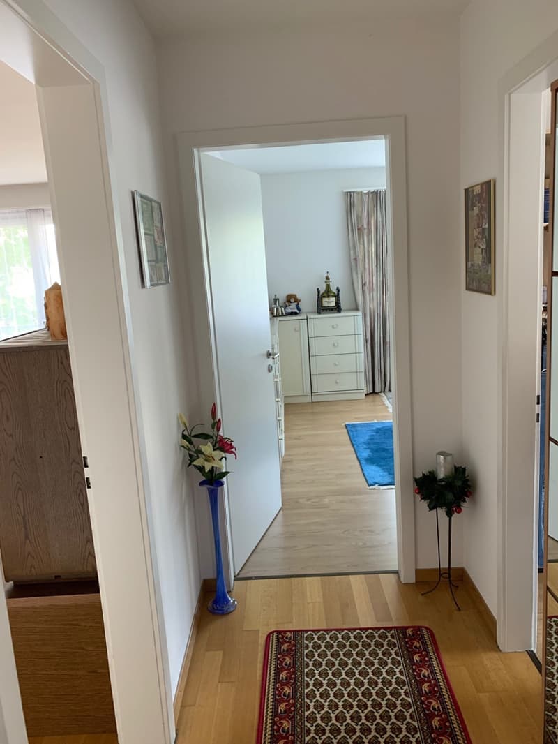 Helle 4.5-Zimmerwohnung im beliebten Zürich-Wollishofen (6)