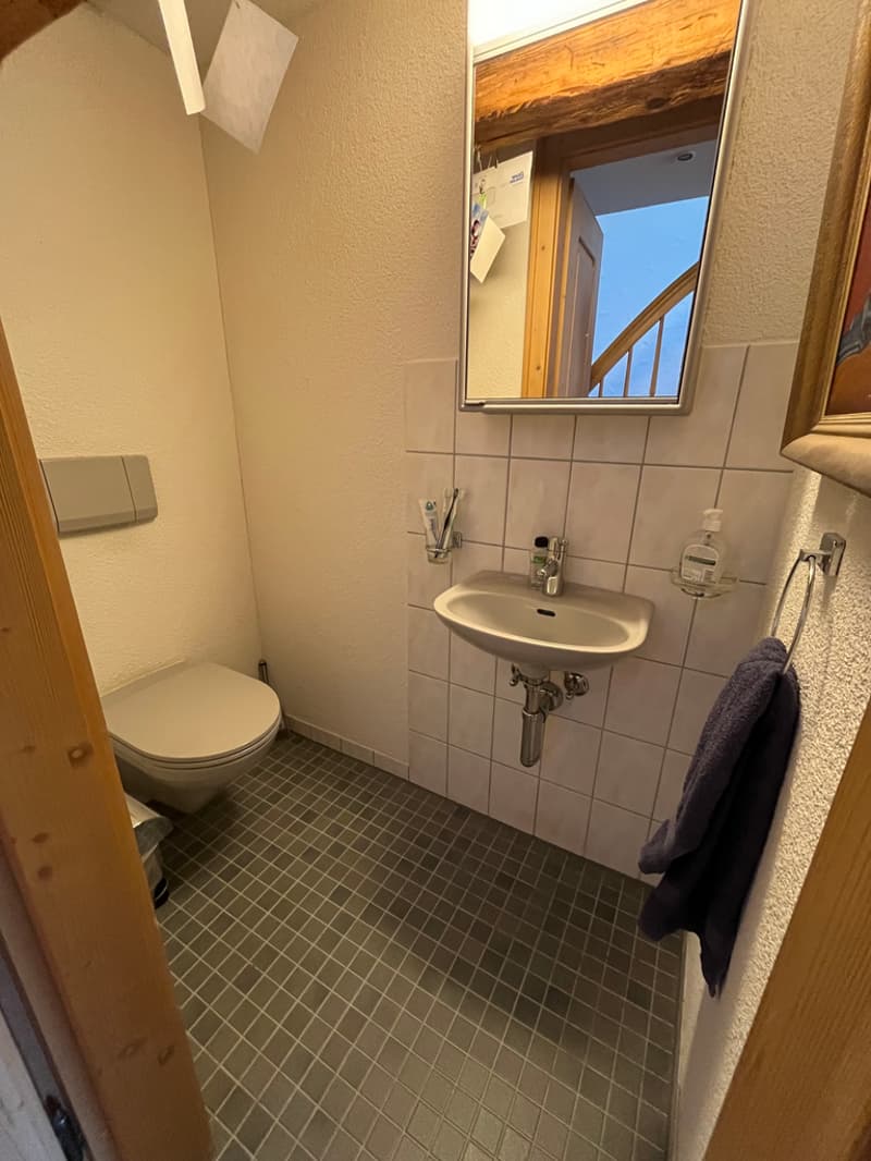 separates WC
