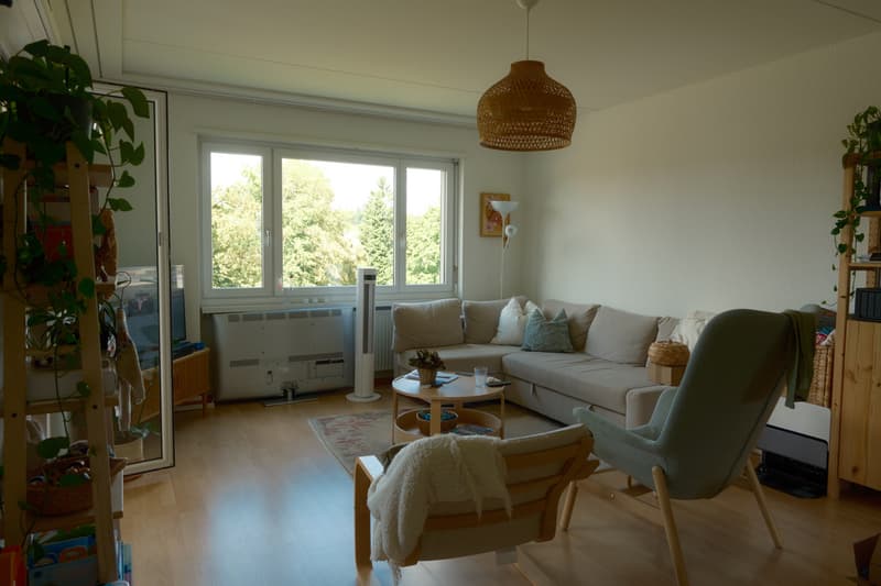 Wohnzimmer_2.jpeg