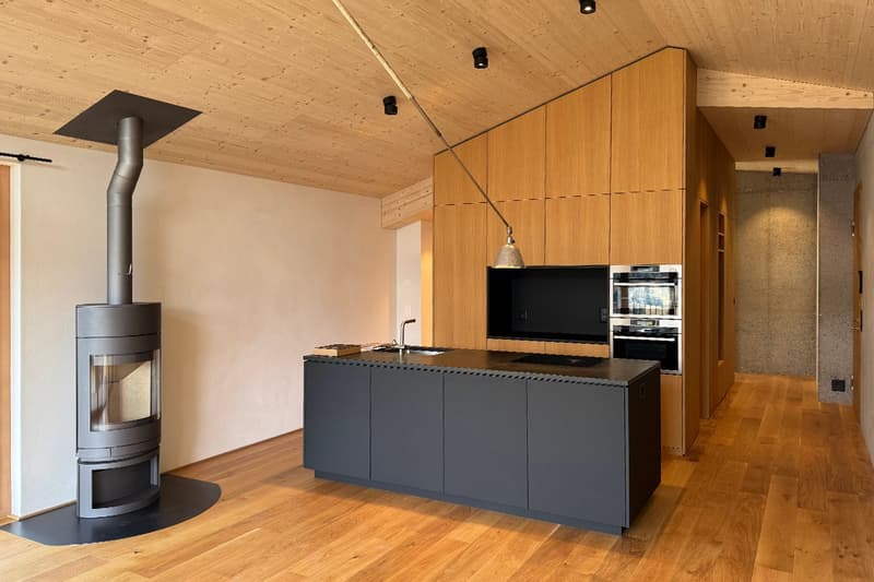 2.5-Zimmer Dachwohnung Haus B, NWF 64m2 (BGF 74m2): Loftartiger Räumling mit funktionalem Wohngenuss (2)