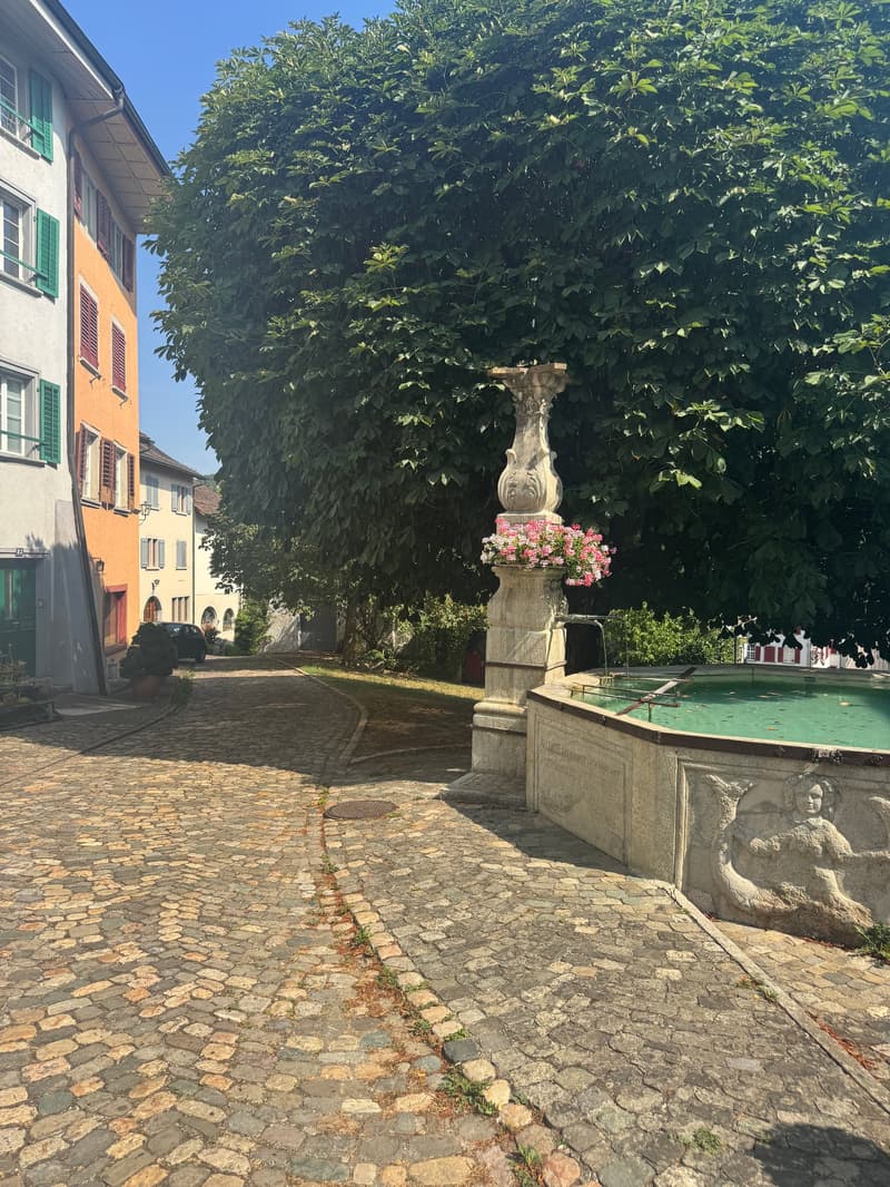 Das Leben ist im Fluss – doch will man es festhalten (6)