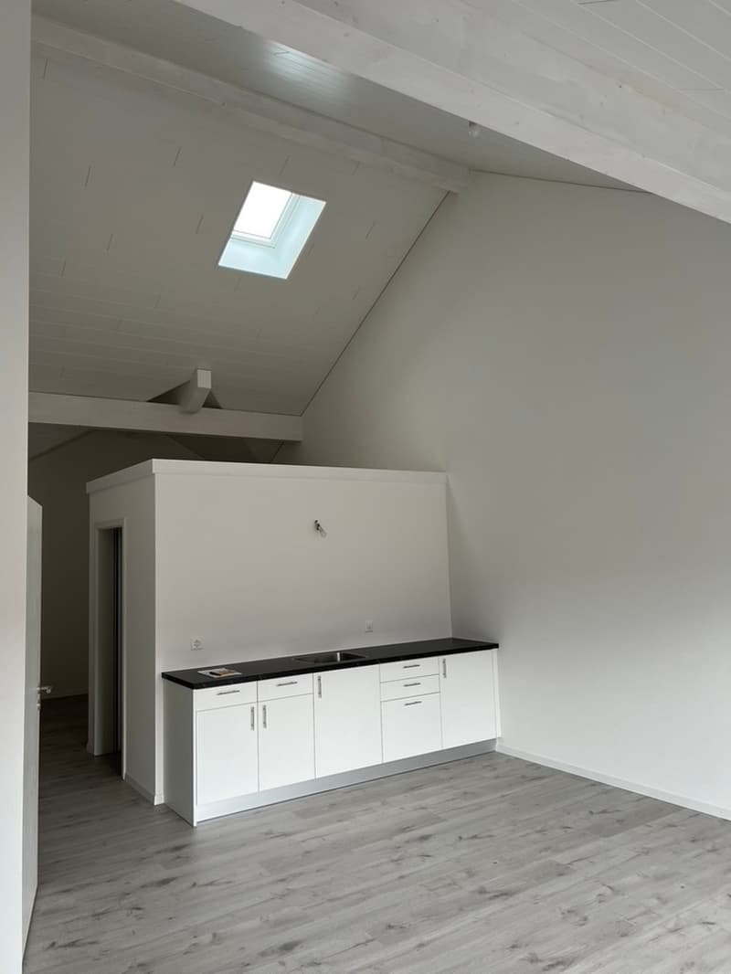 A louer surface pour un bureau , Chavannes-sur-Moudon (6)