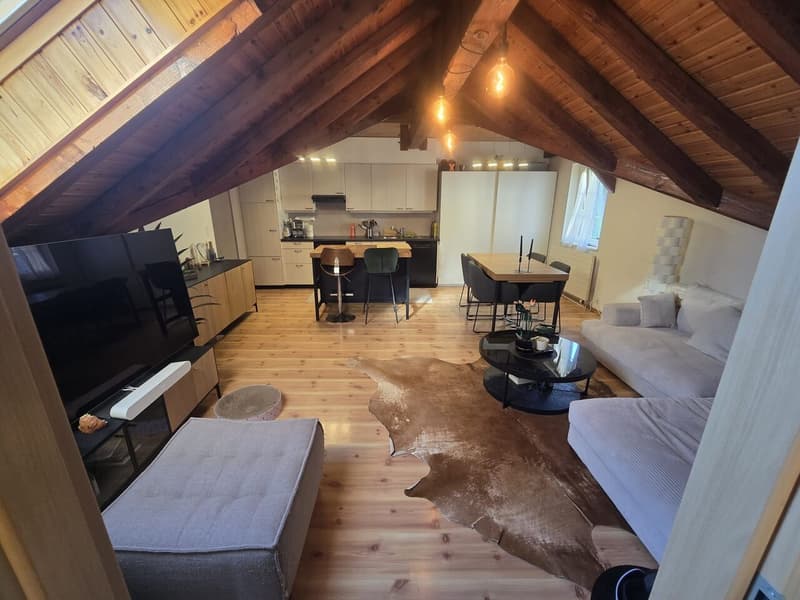 Magnifique appartements de 3 1/2 pièces à Froideville (1)