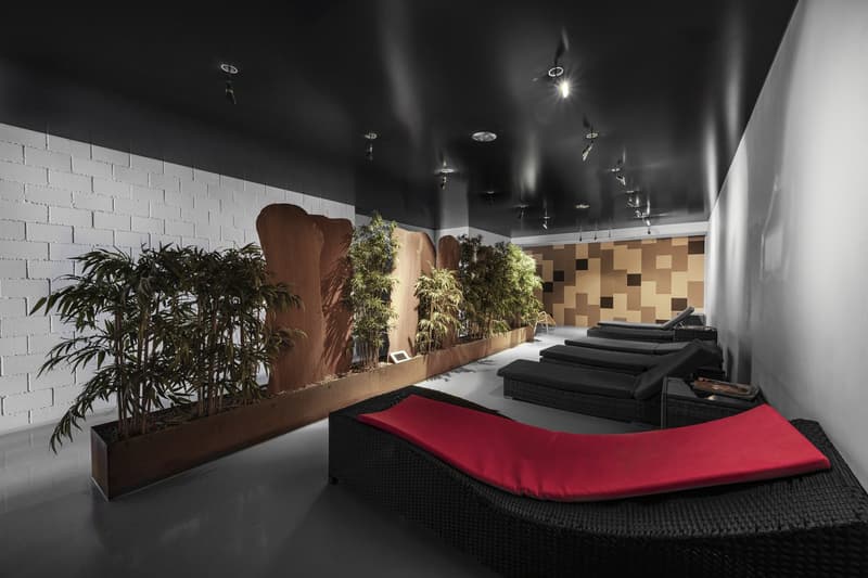 room with plants, modern couch, brick wall, modern design, black ceiling, white wall, white flooring