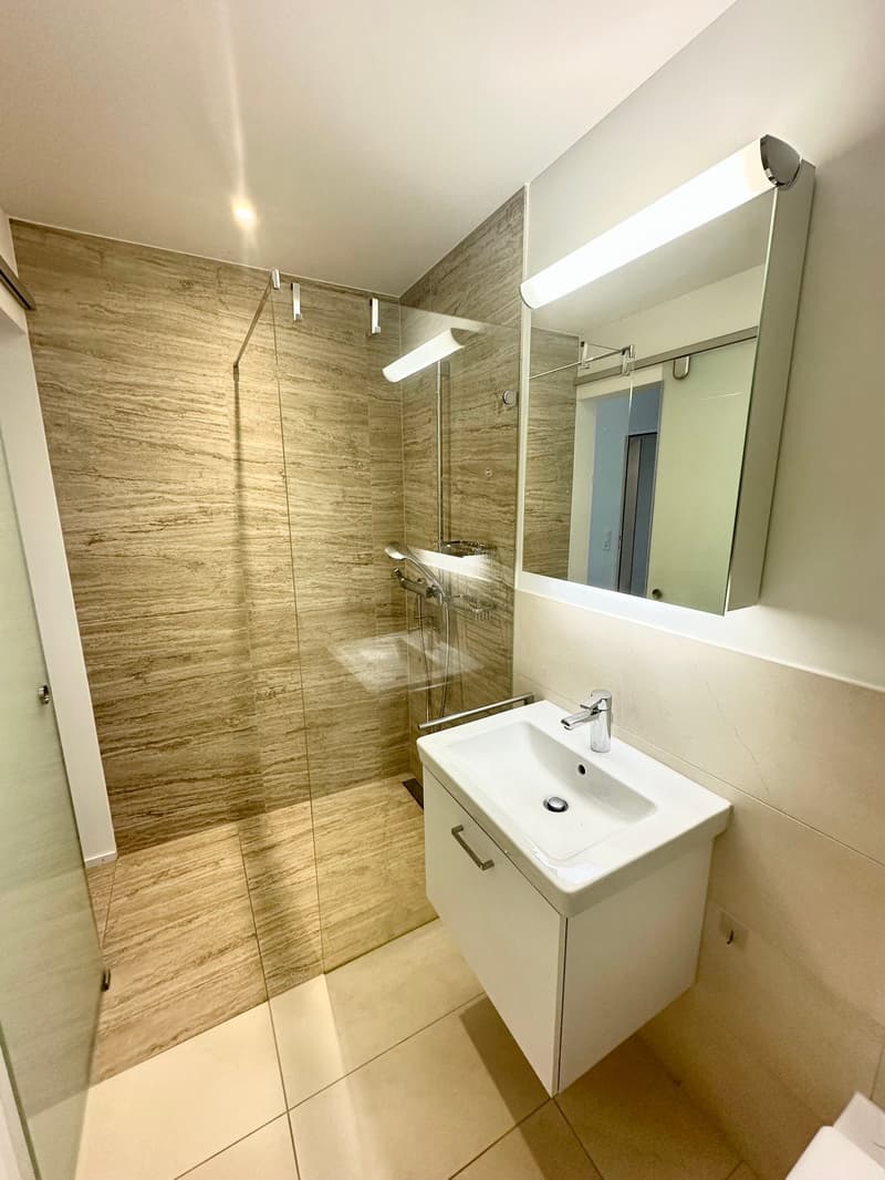 Appartamento moderno 4.5 locali a Wettswil am Albis (10)