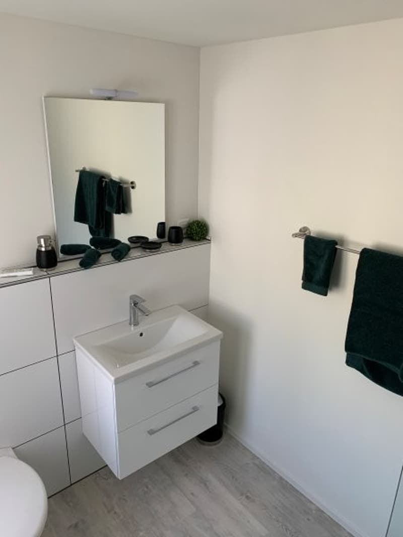 Casa familiare affascinante di 4,5 locali in una posizione tranquilla a Zuzgen (11)