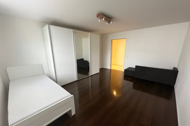 Moderne 4.5-Zimmer-Wohnung in Wettswil am Albis (2)