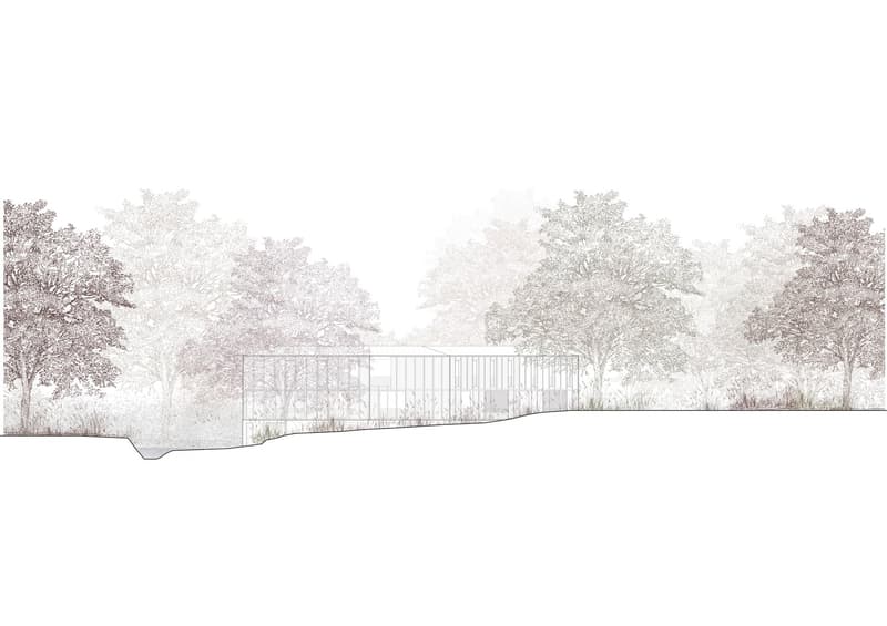 modern house, glass walls, raised ground floor, surrounded by trees