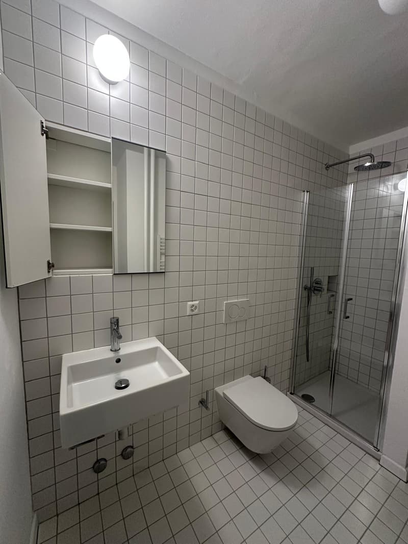 Accogliente appartamento di 1.5 locali a Paradiso, Lugano (11)