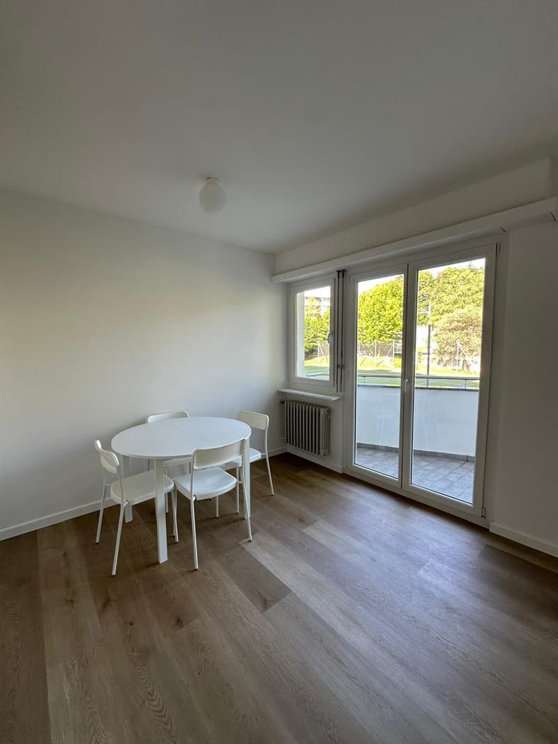 Accogliente appartamento di 1.5 locali a Paradiso, Lugano (9)