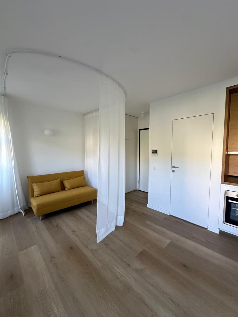 Accogliente appartamento di 1.5 locali a Paradiso, Lugano (13)