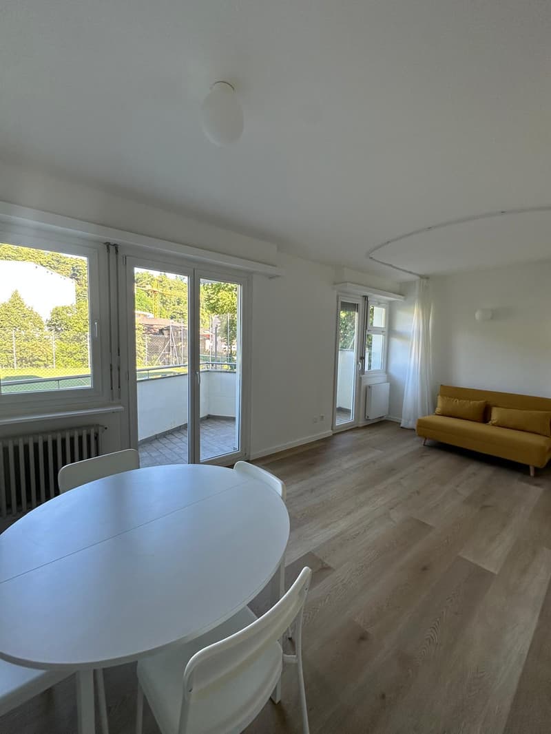 Accogliente appartamento di 1.5 locali a Paradiso, Lugano (1)
