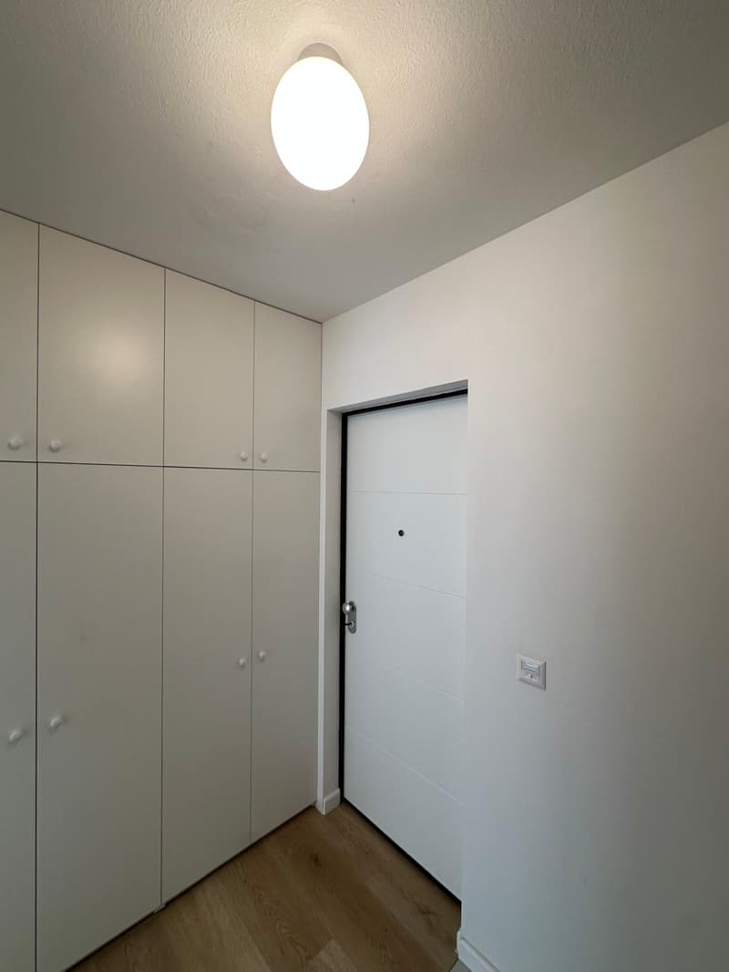 Accogliente appartamento di 1.5 locali a Paradiso, Lugano (5)